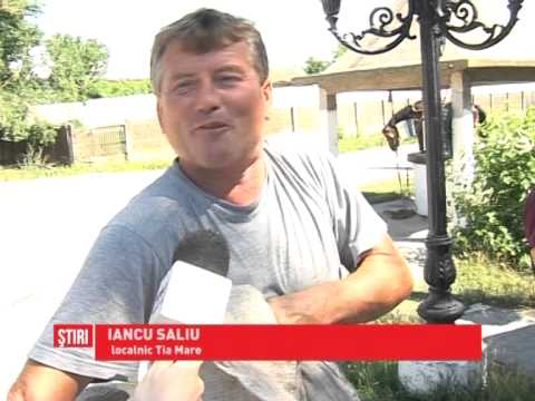 Multă muncă, putin profit