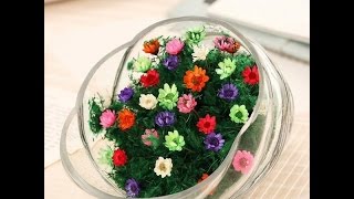 preview picture of video 'Snowy Flower - Hoa Tuyết Nhiệt Đới - Hoa Bất Tử'