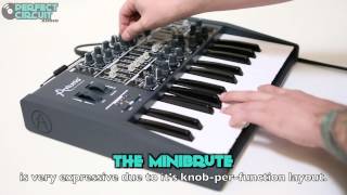 Video thumbnail for Minibrute Demo by Perfect Circuit