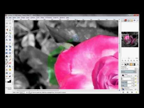 The Selective Desaturation - GIMP Tutorial