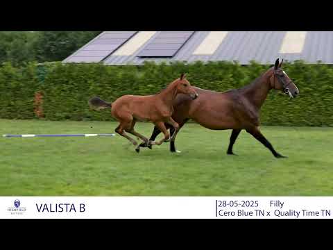 VALISTA B
