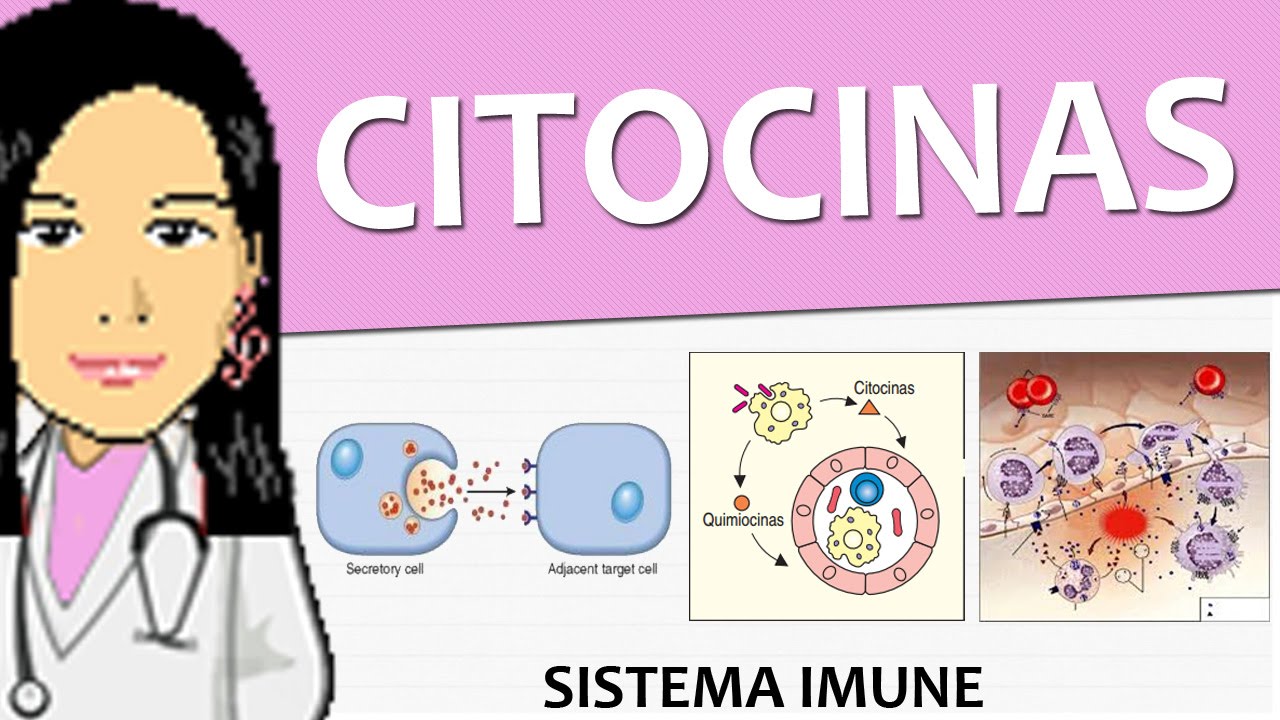 Imunologia 03 - Citocinas (Imunidade inata) - Vídeo aula de sistema imune