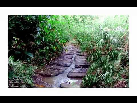 htc 626 g+ mobile photography