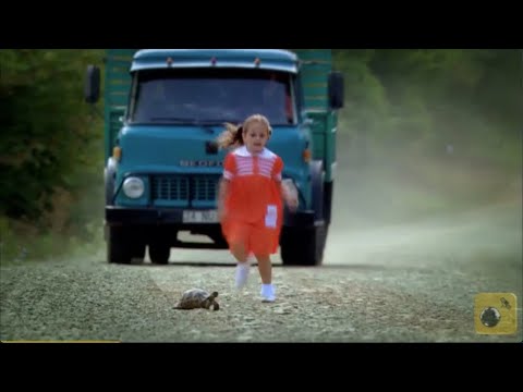 El susto de Deniz (Capítulo 83) | Tormenta de Pasiones (Mar de Amores)