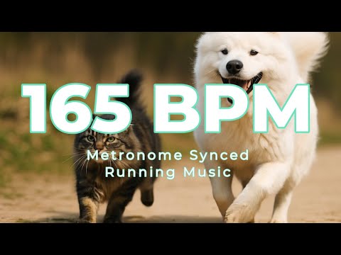 165 BPM Running Music | 1 Hour | Metronome Synced | Workout Motivation