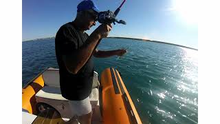 Download lagu Nuove canne da traina kolpo #enjoyfishing mp3
