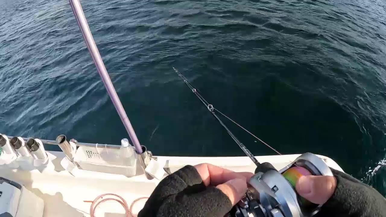 瀬戸内からおはようフィッシング＆ちょっとしたお知らせ