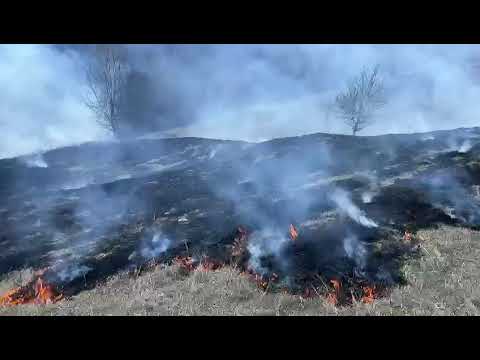Incendiu de vegetatie la Ciugudu de Sus
