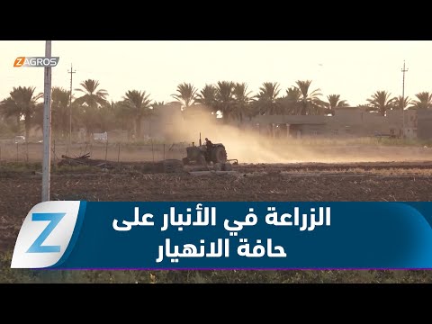 فيديو | الأنبار.. الزراعة على حافة الانهيار بين الجفاف والتحذيرات