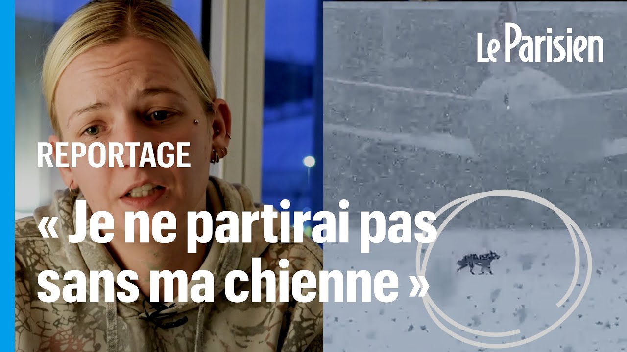 Le désespoir de Mìsa, qui a perdu sa chienne à l’aéroport Charles-de-Gaulle