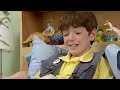 Dino Dan S Field Guide Compilation