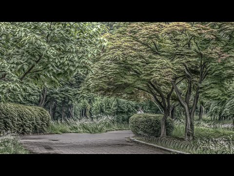 Andrew Kushner - "The Path"