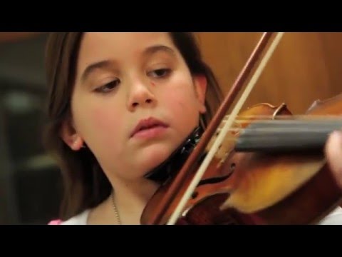 Day Violins & Instruments in the Attic