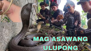 DALAWANG MATAPANG NA HALIMAW  MUNTIK MAMAALAM ANG CAMERAMAN
