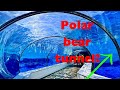 Day At The Detroit Zoo Vlog 2024
