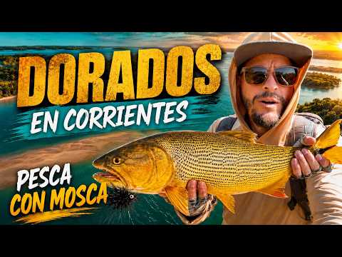 ¿SE PUEDE PESCAR DORADOS FUERA DE TEMPORADA? | CORRIENTES