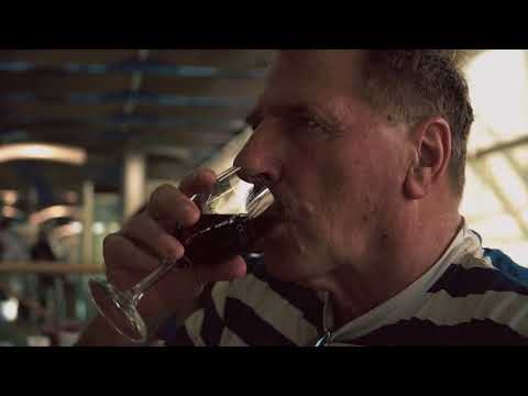 Klapa Trogir - Staro vino