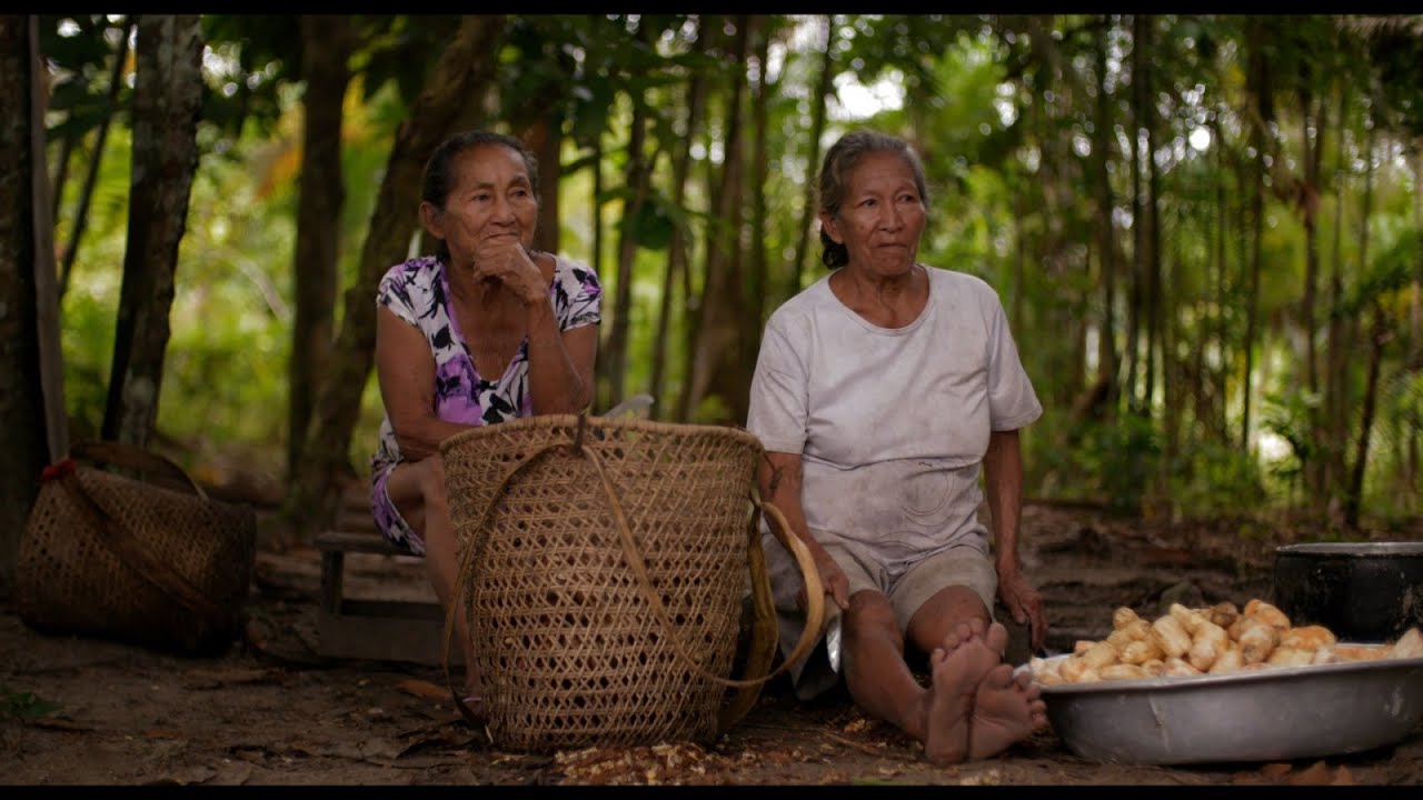 NHEENGATU - A LÍNGUA DA AMAZÓNIA, de José Barahona