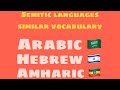 Similar vocabulary in Semitic Languages: Arabic, Hebrew and Amharic