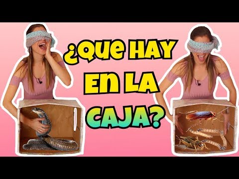 ¿QUÉ HAY EN LA CAJA? | NO VAN A CREER LO QUE HABIA | Reto Extremo | NatyGloss