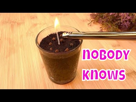 You will never see a fly or mosquito in your house  again 15 seconds after doing this