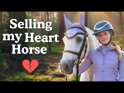 Selling My Heart Horse - what would you do?
