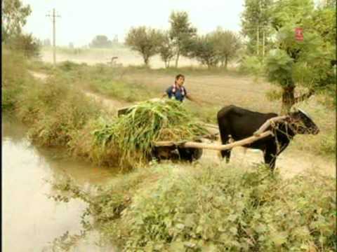 Fas Gayi Reda [Full Song] Bhotu Shah Ji Zindabad