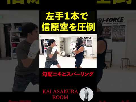 朝倉海が信原空とのスパーリングでRIZIN選手の格の違いを見せつける #朝倉海 #信原空 #かいちゃんねる #shorts