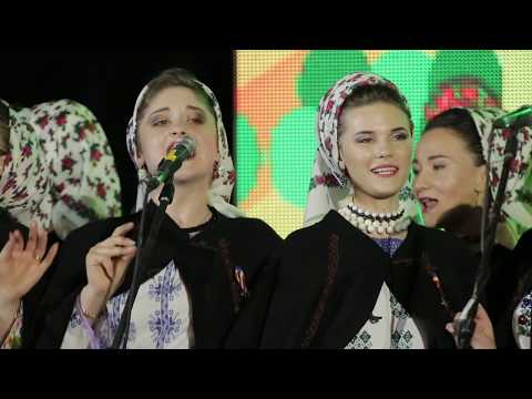 Crenguță de Iedera și Maria Iliuț - Dragă puiculița mea