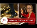 How does a pipe organ actually work? | Anna Lapwood | Classic FM