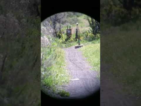 7 Best Hawke Scopes for Hunting in 2026 – Top Hunting Optics Compared