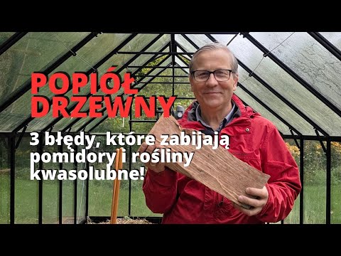 Popiół z kominka ZŁOTO czy PUŁAPKA? Poznaj 3 błędy, które zabijają pomidory i rośliny kwasolubne!
