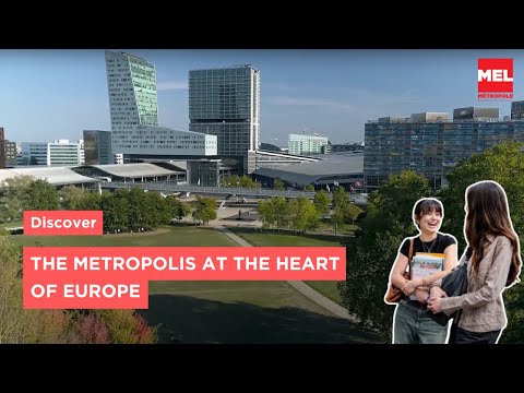 European Metropolis of Lille: A Land of Opportunity