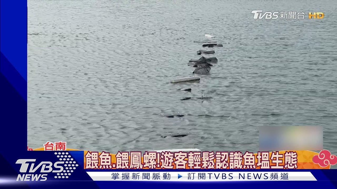 漁塭生態之旅!餵魚吃米其林料理 搶答認識白蝦