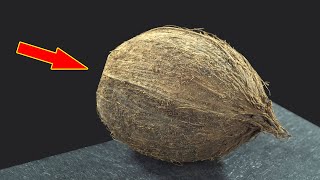 Polishing the coconut into a mirror（15 hours）