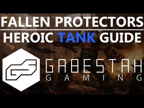 The Fallen Protectors Heroic Tank Guide [VOX]