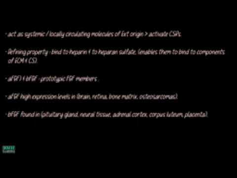 y2mate is   Fibroblast Growth Factor FGF Functions Of Fibroblast Growth Factor  5l5 jST5gA4 144pp 16