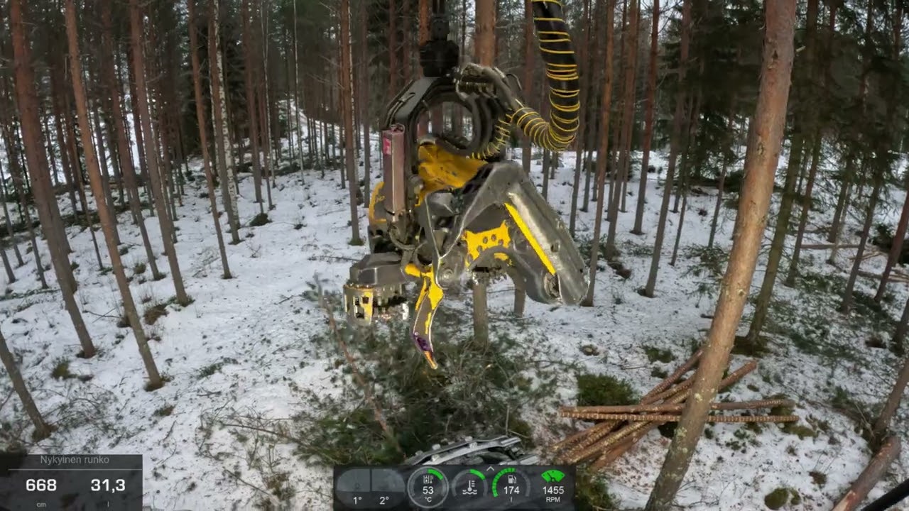 Oikein hyvää männikön myöhäistäharvennusta. Ponsse Scorpion K H7 AC FC