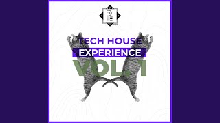 Follow The Leader (Original Mix)
