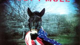 Gov't Mule - Rocking Horse