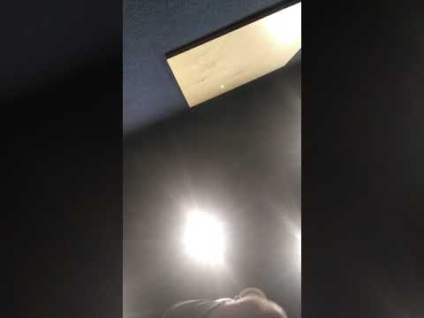 Andrea Di Giuseppe - Mobstudio - Federico Di Mambro Little Boss Amp