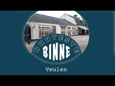 BuutesteBinne: Veulen