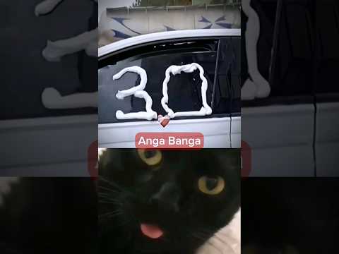 When You Get Anga Banga