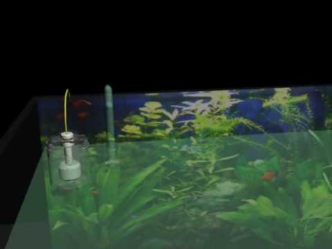 pourquoi la pompe de mon aquarium fait du bruit
