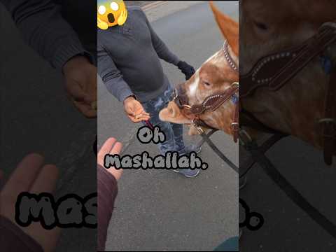 aber ist erstes Mal...