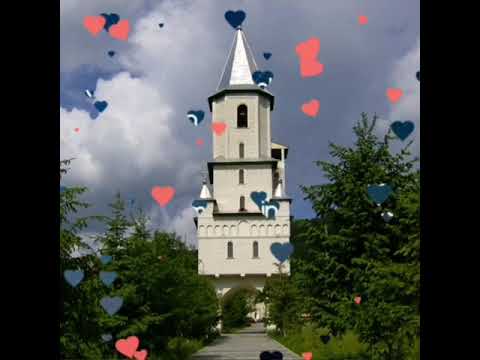 Gavril Puscas - Un singur dor mai am si eu