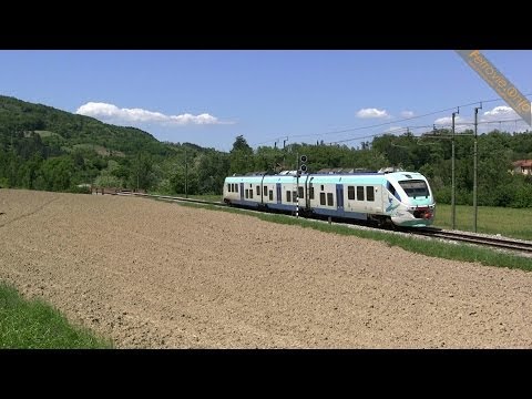 ETT Elfi su rete TFT - ETT Elfi on TFT net