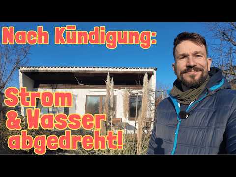 Back in the allotment garden: What happened? | Garden vlog from Berlin