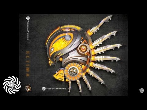 Ectima - A Message to Shankra (2017 Set)