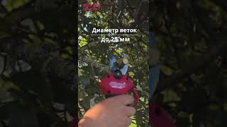 Cordless pruner WORTEX CBS 2030-1